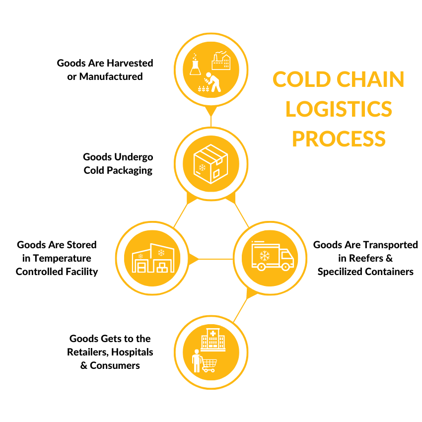 cold chain logistics process