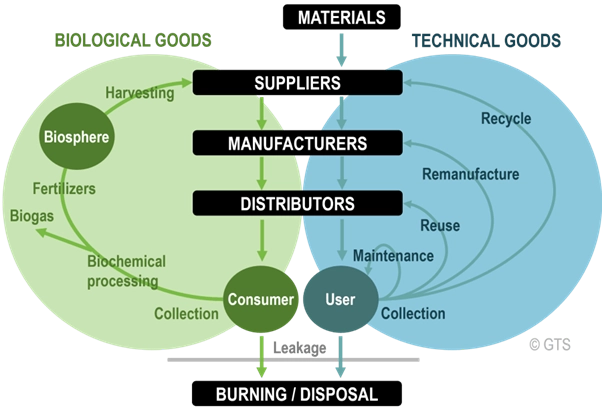 circular economy and supply chains